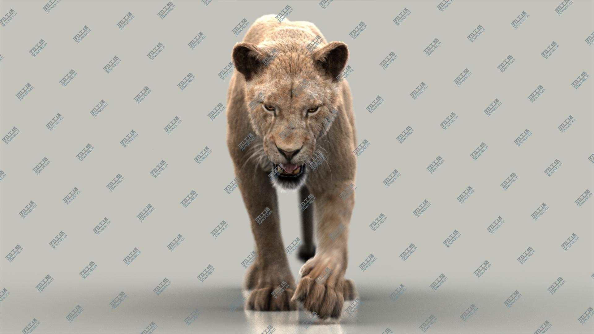 images/goods_img/202104022/Lioness (3) (FUR) (ANIMATED) 3D model/4.jpg